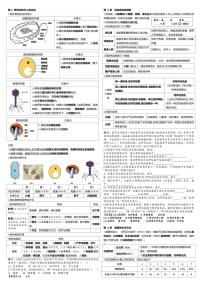 初中生物北师大版（2024）八年级上册（2024）生物的生殖和发育学案及答案