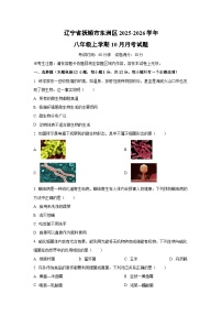 2025~2026学年辽宁省抚顺市东洲区八年级（上）10月月考生物试题（学生版）