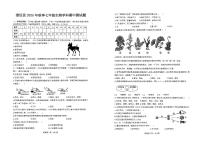 海南省澄迈县2025-2026学年七年级上学期期中考试生物试题