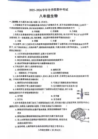 2025~2026济源市冬学段八年级上学期期中考试生物试卷