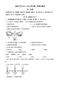 精品解析：广东省深圳市高级中学2021-2022学年七年级下学期期末生物试题含答案