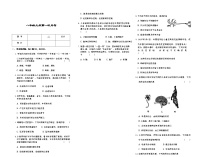吉林省松原市宁江区风华中学2025—2026学年度上学期第一次月考试卷   八年级生物试卷（含答题卡、答案）
