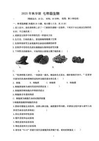 江苏省盐城市某校2025-2026学年七年级上学期10月检测生物试题（月考）