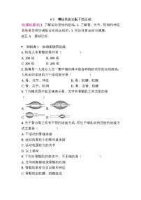 人教版（2024）八年级上册（2024）第三节 神经系统支配下的运动课后作业题