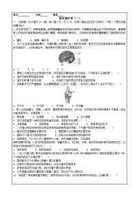 期末测评卷（一）-2025-2026学年人教版生物八年级上册习题含答案