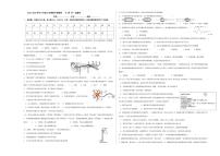 湖南省益阳市安化县部分学校2025-2026学年八年级上学期生物期中试卷