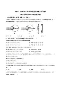 2025年哈尔滨市113中学八年级（上）生物期中试题及答案