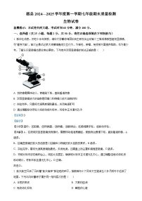 安徽省宿州市泗县2七年级上学期期末生物试题（解析版）-A4