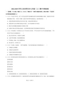 2024-2025学年山东省枣庄市七年级（上）期中生物试卷
