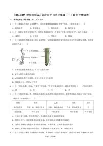 2024-2025学年河北省石家庄市平山县七年级（下）期中生物试卷
