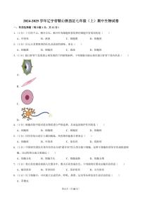 2024-2025学年辽宁省鞍山铁西区七年级（上）期中生物试卷