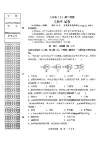 辽宁省大连市高新区2025-2026学年上学期八年级生物学期中试卷（无答案）