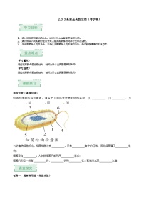 济南版（2024）七年级上册（2024）真菌是真核生物优秀巩固练习