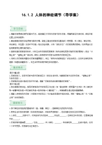 初中生物苏科版（2024）八年级上册（2024）第 1 节 人体的神经调节精品练习题
