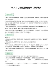 初中生物苏科版（2024）八年级上册（2024）第 1 节 人体的神经调节精品练习题