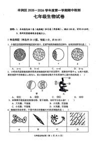 河北省唐山市丰润区2025-2026学年七年级上学期期中生物试题