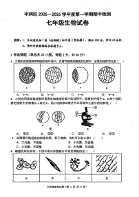 河北省唐山市丰润区2025-2026学年七年级上学期期中生物试题
