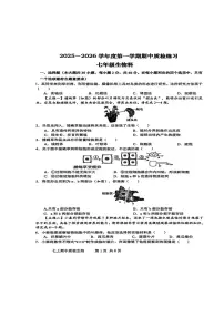 广东省潮州市潮安区2025-2026学年七年级上学期11月期中生物试题