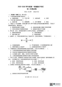 河北省石家庄市第四十八中学2025-2026学年八年级上学期11月期中生物试题