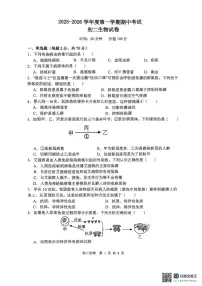 河北省石家庄市第四十八中学2025-2026学年八年级上学期11月期中生物试题