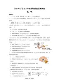 湖南省岳阳市岳阳楼区长岭中学2025-2026学年八年级上学期11月期中生物试题