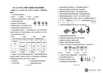 山东省德州市第五中学2025-2026学年七年级上学期期中考试生物试题