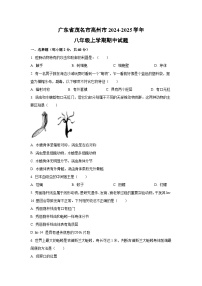 广东省茂名市高州市2024-2025学年八年级上学期期中生物试卷（学生版）