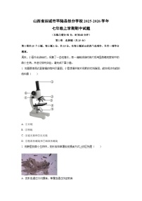 山西省运城市平陆县部分学校2025-2026学年七年级上学期期中生物试卷（学生版）