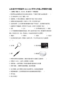 山东省济宁市邹城市2024-2025学年七年级上学期期中生物试卷（学生版）