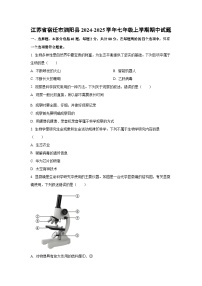 江苏省宿迁市泗阳县2024-2025学年七年级上学期期中生物试卷（学生版）