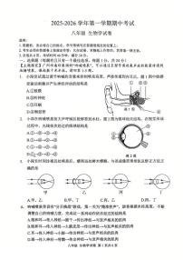 广东省深圳市深圳中学2025-2026学年八年级上学期期中生物试卷