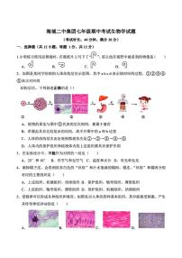 辽宁省鞍山市海城市第二中学教育集团2025-2026学年七年级上学期11月期中考试生物试题