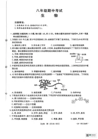 辽宁省盘锦市大洼区联考2025-2026学年八年级上学期期中考试生物试卷