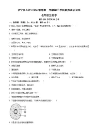 新疆伊犁哈萨克自治州伊宁县2025-2026学年七年级上学期期中生物学试题（含答案）