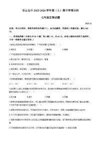 四川省乐山市第五中学2025-2026学年七年级上学期期中生物试题（含答案）