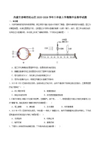 内蒙古自治区赤峰市松山区2025-2026学年八年级上学期期中考试生物试卷（含答案）