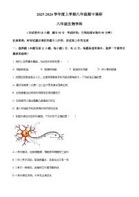 辽宁省锦州市实验学校2025-2026学年八年级上学期期中生物学试题（含答案）
