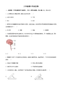 吉林省松原市前郭县2025-2026学年 八年级上学期期中生物试题（含答案）