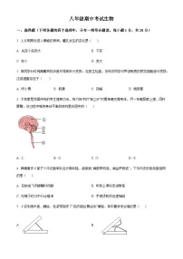 吉林省松原市前郭县2025-2026学年 八年级上学期期中生物试题（含答案）
