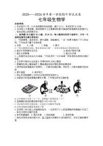 河南省濮阳市2025-2026学年七年级上学期期中生物学试题（含答案）