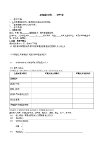 人教版（2024）七年级上册（2024）单细胞生物导学案