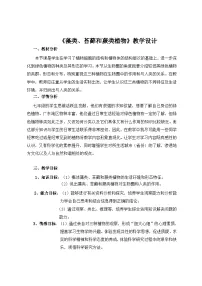 人教版（2024）七年级上册（2024）藻类、苔藓和蕨类教案