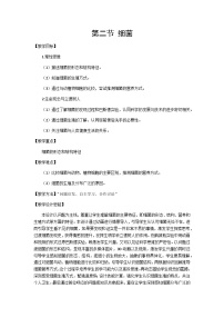 初中生物人教版（2024）七年级上册（2024）细菌教学设计