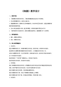 初中生物人教版（2024）七年级上册（2024）细菌教案设计