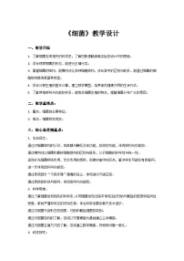 初中生物人教版（2024）七年级上册（2024）细菌教案设计