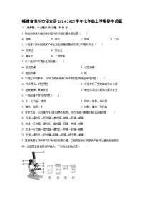 福建省漳州市诏安县2024-2025学年七年级上学期期中生物试卷（学生版）
