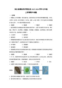 河北省秦皇岛市青龙县2025-2026学年七年级上学期期中生物试卷（学生版）
