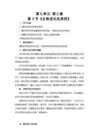 初中生物人教版（2024）八年级下册（2024）第三节 生物进化的原因教案