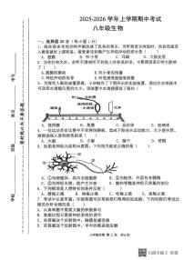 河南省漯河市召陵区2025-2026学年八年级上学期11月期中生物试题