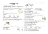 河南省郑州市二七区实验中学2025-2026学年八年级上学期11月期中生物试题